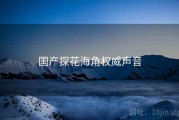 国产探花海角权威声音