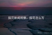 探花新闻观察，探花怎么写