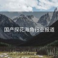 国产探花海角行业报道