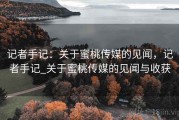 记者手记：关于蜜桃传媒的见闻，记者手记_关于蜜桃传媒的见闻与收获
