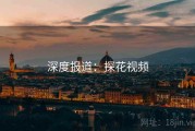 深度报道：探花视频
