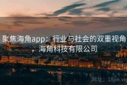聚焦海角app：行业与社会的双重视角，海角科技有限公司