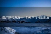 国产探花海角——新闻评论特别报道