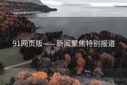 91网页版——新闻聚焦特别报道