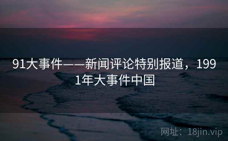91大事件——新闻评论特别报道，1991年大事件中国