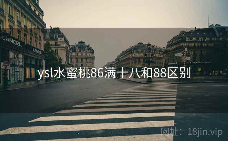 ysl水蜜桃86满十八和88区别