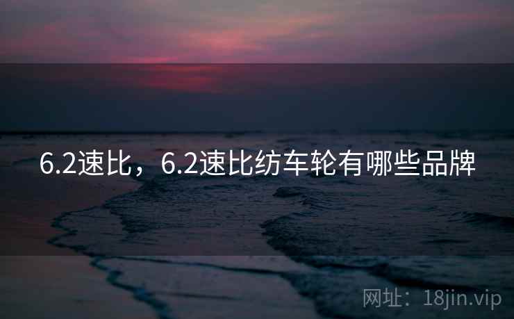 6.2速比，6.2速比纺车轮有哪些品牌