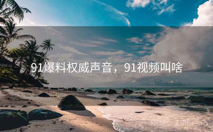 91爆料权威声音，91视频叫啥