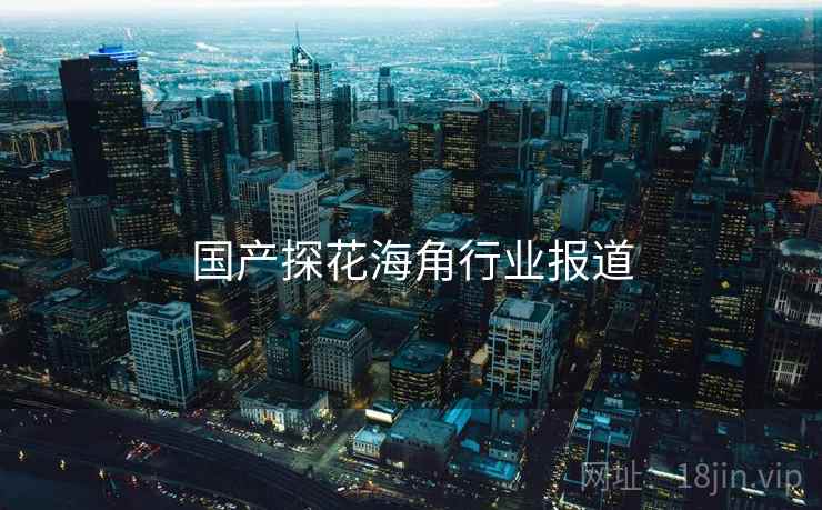 国产探花海角行业报道