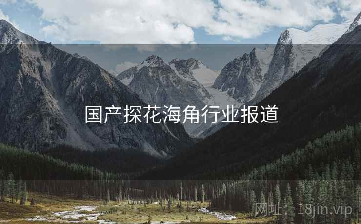 国产探花海角行业报道
