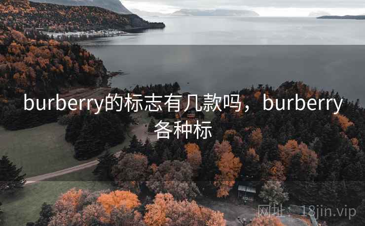 burberry的标志有几款吗，burberry各种标