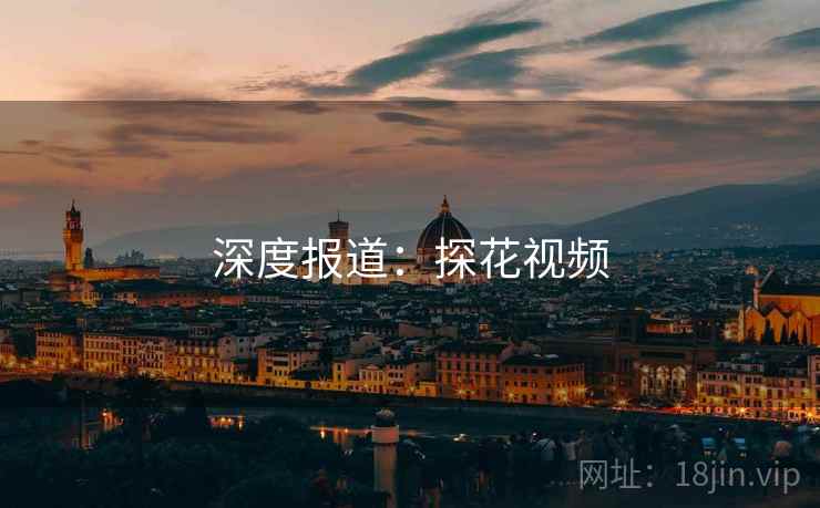 深度报道：探花视频