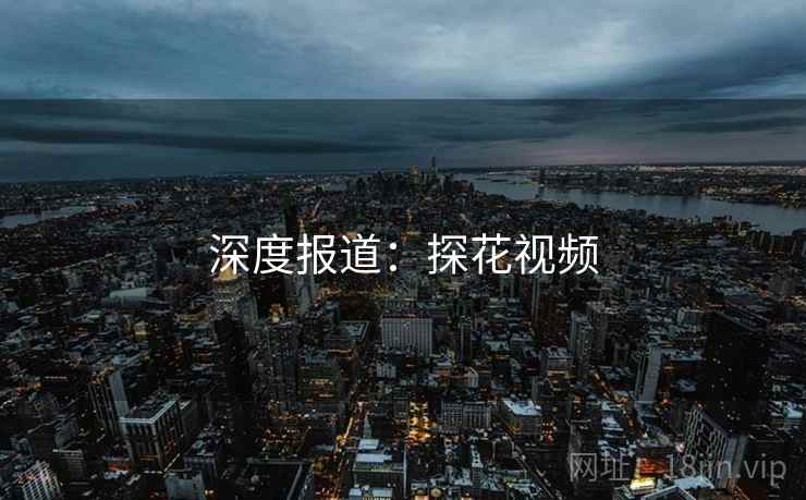 深度报道：探花视频