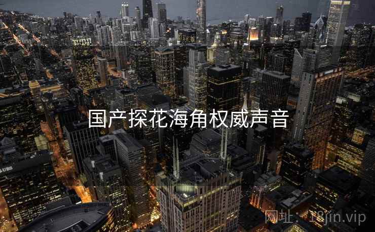 国产探花海角权威声音
