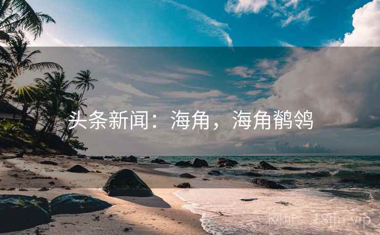 头条新闻：海角，海角鹡鸰